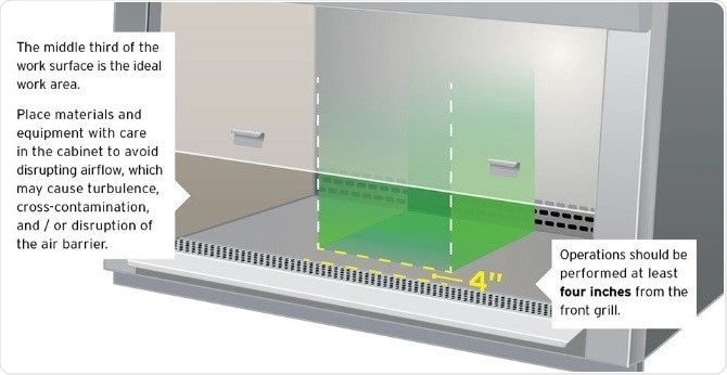 Biological safety cabinet safe space