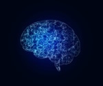 Study uncovers changes to the brain during unconsciousness