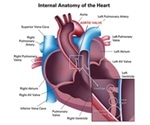 Characterizing the Mechanical Properties of Aortic Valve Tissue