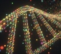 Scientists uncover new mechanism initiating gene transcription