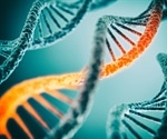 Functions of Junk DNA