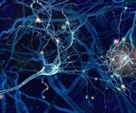 Parkinson's treatment boosts the number and strength of brain cell 'batteries'