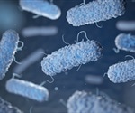 DTU researchers discover gut bacteria link to reduced allergy and asthma risk