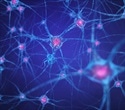 Breakthrough study identifies potential treatment for schizophrenia symptoms