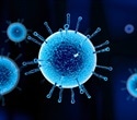 Researchers develop nasal antiviral platform using AI technology to block flu and COVID-19​