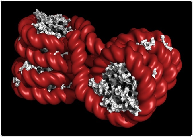 Nucleosome