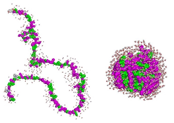 Denatured proteins may remain soluble yet be incompetent to interact