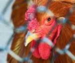 China withholding crucial bird flu virus samples outraging scientific community