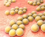 Superbugs emerging from skin bacteria on the increase