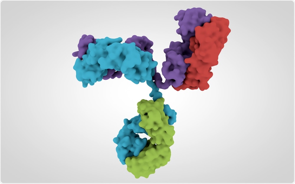 Illustration of an antibody to be used in ChIP-Seq