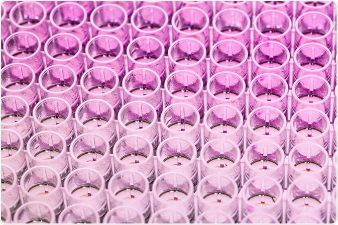 Immunoassay 96-well plate - a photo by Val3ri0