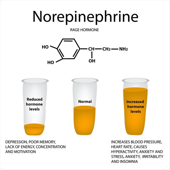Chemical molecular formula hormone norepinephrine. Hormone rage. Lowering and raising norepinephrine. Image Credit: Timonina / Shutterstock