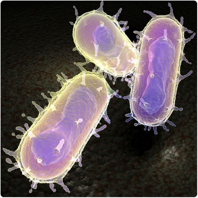 3d representation of the Yersinia pestis bacteria better known as the bubonic plague. Image Credit: MichaelTaylor / Shutterstock