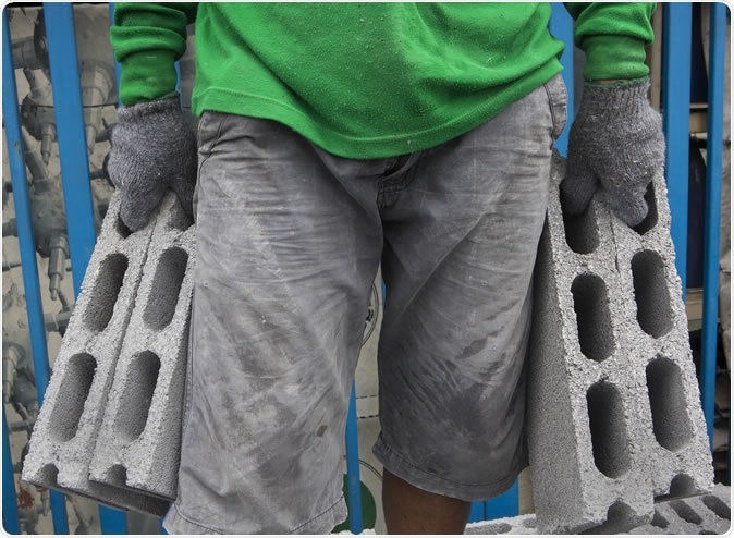 Image Credit: Sukpaiboonwat / Shutterstock