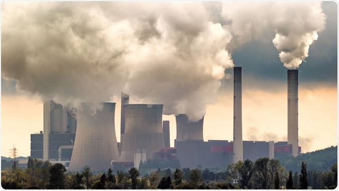 Image Credit: VanderWolf Images / Shutterstock