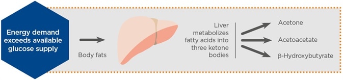 B-Hydroxybutyrate and Ketosis Overview