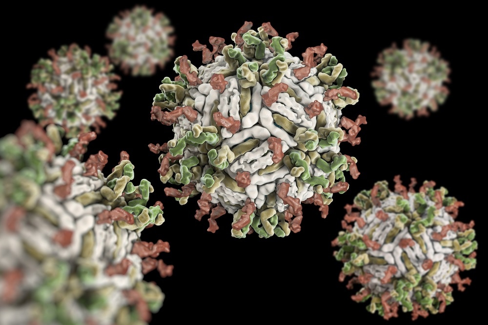 dengue virus