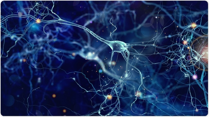 Image Credit: whitehoune / Shutterstock.com