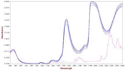 Spectra of hair cream samples with various concentrations of active ingredient (0.0% to 3.1%). The pure AI is displayed in pink, which was used to specify bands of interest for the active ingredient (1550 nm - 1750 nm and 2210 nm - 2340 nm).