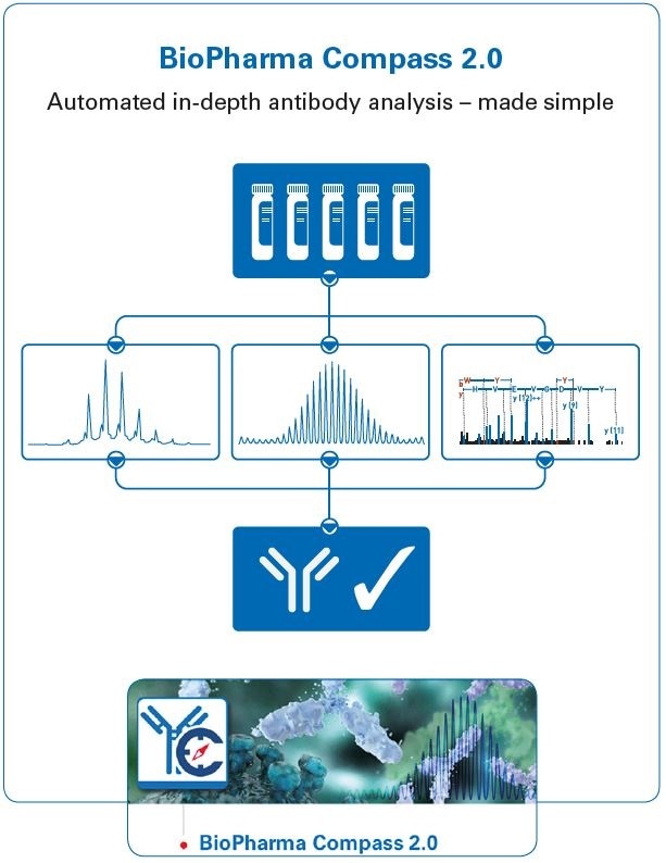Graphical abstract, showing the use of BioPharma Compass 2.0 for automated antibody characterization using intact, subunit domain and bottom-up approaches. The software also contains other features not shown here, including workflows for MALDI and ETD, and a Regulatory Toolkit.