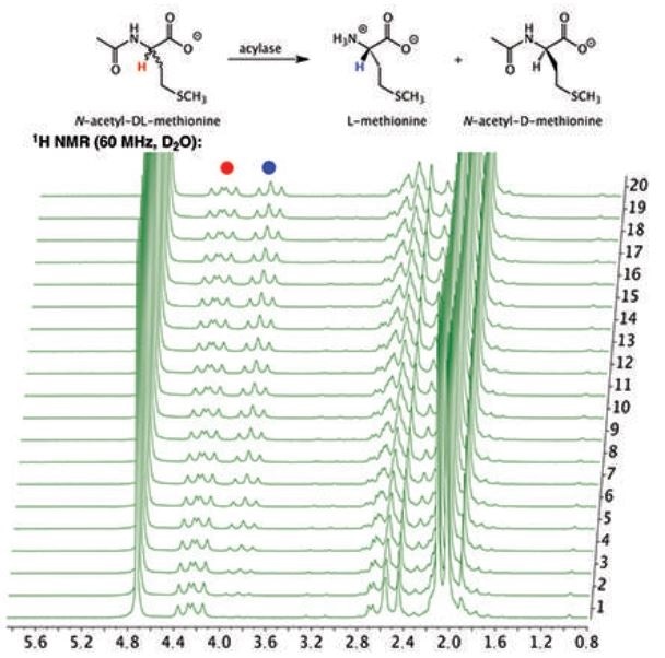 Stacked plot of 1H NMR spectra of the hydrolysis of N-acetyl-DL-methionine by porcine acylase to produce L-methione.