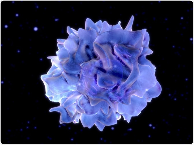 Dendritic cell - an illustration
