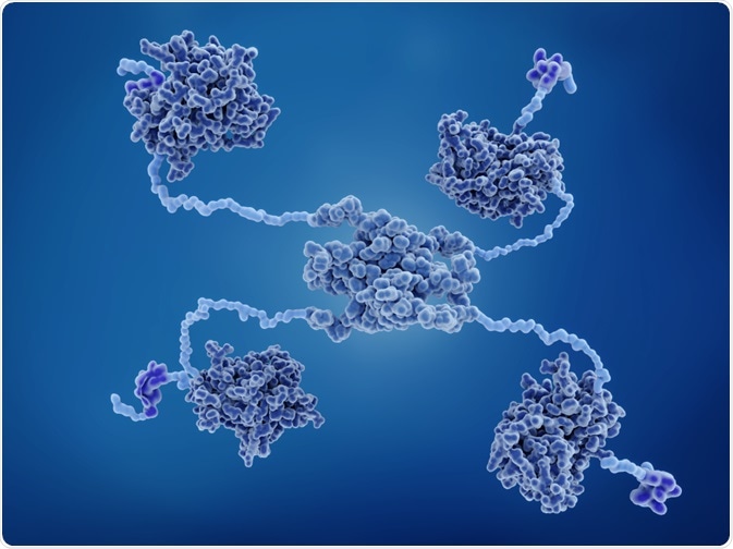 Illustration of p53, the guardian of the genome