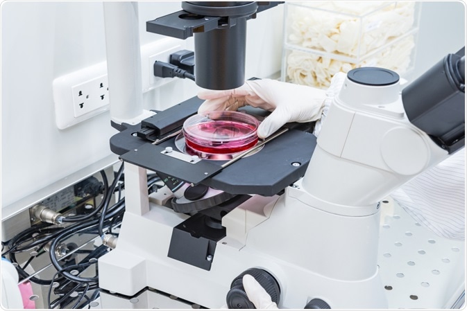 Scientist looking at cells under microscope in cleanrooms - cleanrooms are designed to prohibit the entry of contaminants that may affect research results