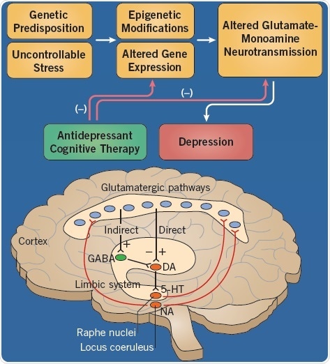 The etiology of depression
