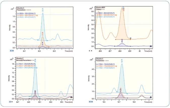 Analysis of different wedge clam extracts spiked at 0.8 µg/kg PAHs. Each time window shows the MRM transitions used for each compound.
