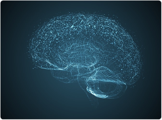 Microdialysis is a valuable tool in neuroscience that can be used to investigate and learn about complex brain functions