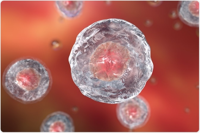 Single-nucleus RNA sequencing, also known as sNuc-seq, is a recently developed method of profiling gene expression