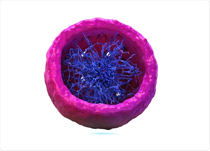 Single nucleus RNA sequencing techniques have been developed to sequence the RNA present in single cells.