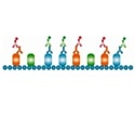 Bio-Rad launches new isotype-specific secondary antibodies
