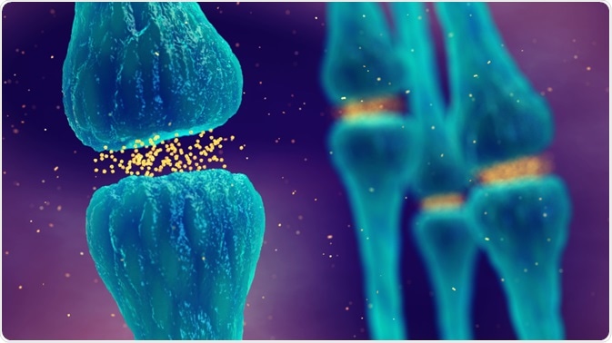 EC-MS can be used to study electrochemical changes involved in neurotransmission with good temporal resolution