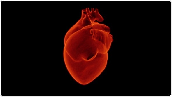 Study finds shortcomings in long-term care for heart failure patients in the UK