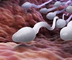 Do Stress and Anxiety Affect Sperm Quality?
