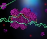 CRISPR-Cas3: A safer gene-editing tool shows promise for transthyretin amyloidosis treatment