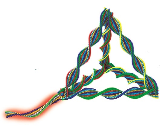 Researchers develop DNA nanorobots that target breast cancer cells