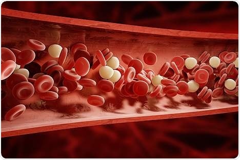 Researchers uncover new mechanism by which cells communicate in inflammatory processes