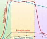 Estradiol and Estrogen Levels