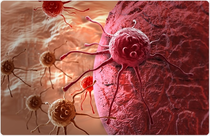 Cancer cell Illustration. Image Credit: Jovan Vitanovski / Shutterstock