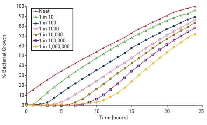 Growth of serially diluted cultures of Neisseria meningitidis in BHI broth supplemented with 10 % FBS using a BMG LABTECH plate reader with ACU set to deliver 5 % CO2 at 37°C. The data presented were calculated from triplicate optical density readings (at 405nm) taken hourly over a 24 h period from duplicate experiments.