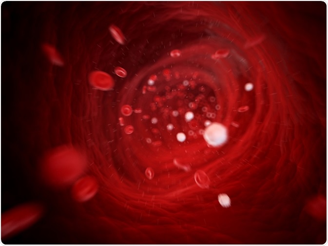 Leukocytes travelling fast in the blood stream