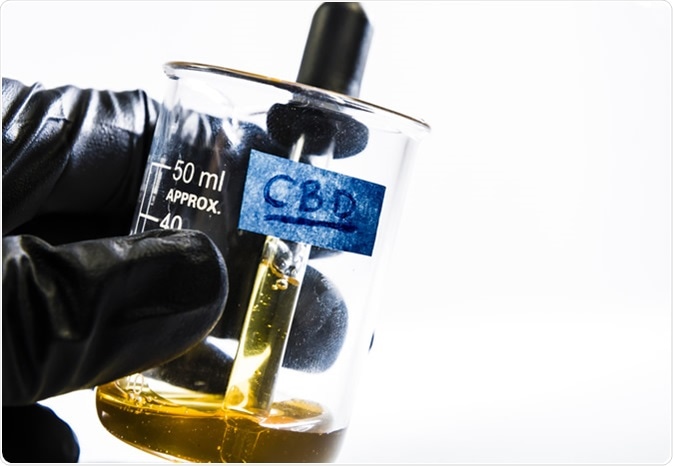 CBD oil extract from cannabis. Image Credit: Mitch M / Shutterstock