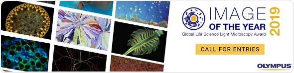 Olympus launches first Global Image of the Year Life Science Light Microscopy Award