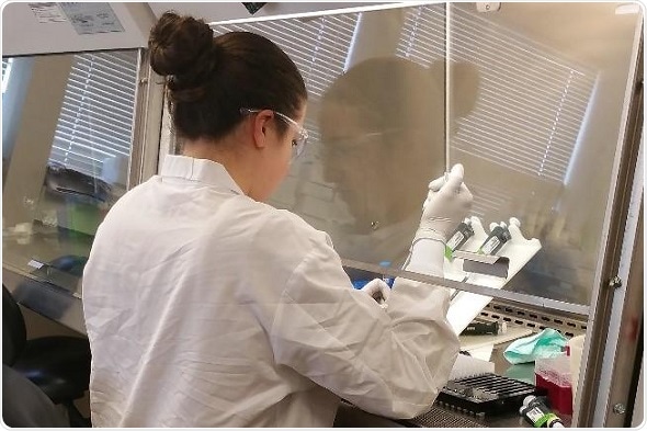 Primary DENV or ZIKV infection has no effect on course of secondary infection in macaques