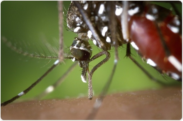 Scientists join hands to protect Australia from growing threat of infectious diseases