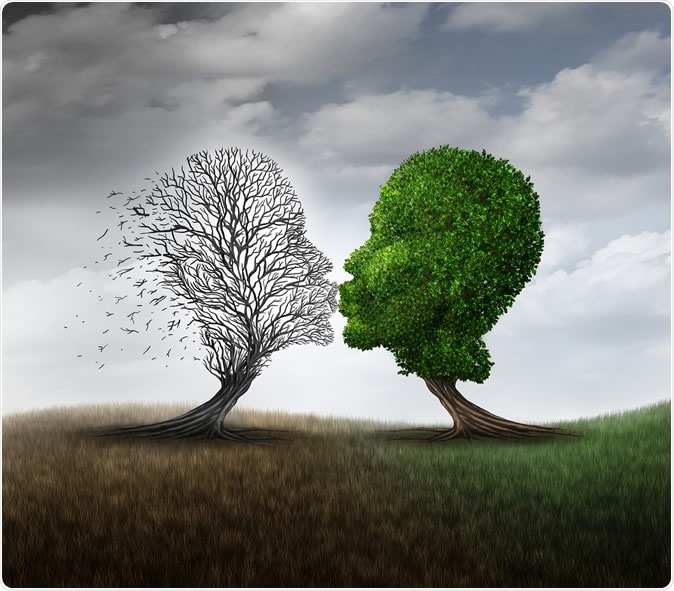 Image Credit: Lightspring / Shutterstock