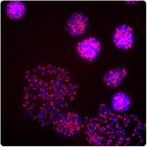 Gene coding error likely responsible for rare form of inherited